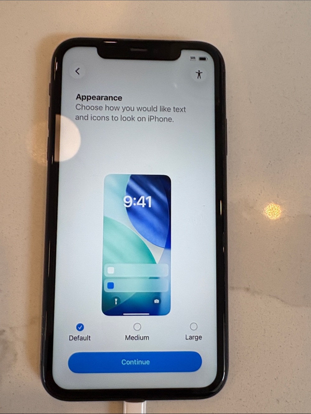 Apple iPhone Black with Blue-Green Home Screen Accent